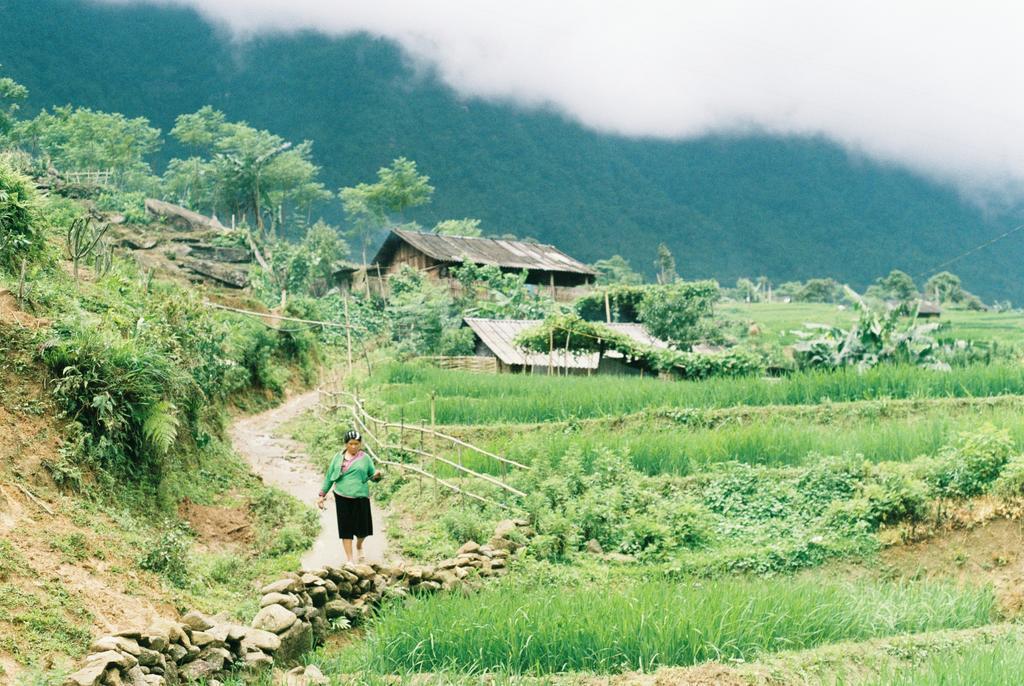 Joy House Sapa Daire Dış mekan fotoğraf