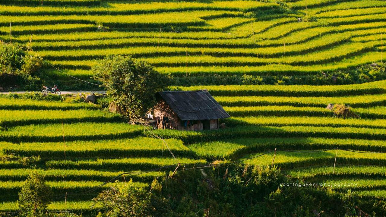 Joy House Sapa Daire Dış mekan fotoğraf